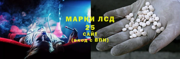 индика Алексин