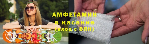 стаф Алзамай