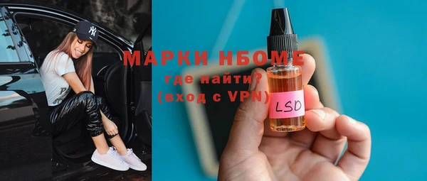 индика Алексин