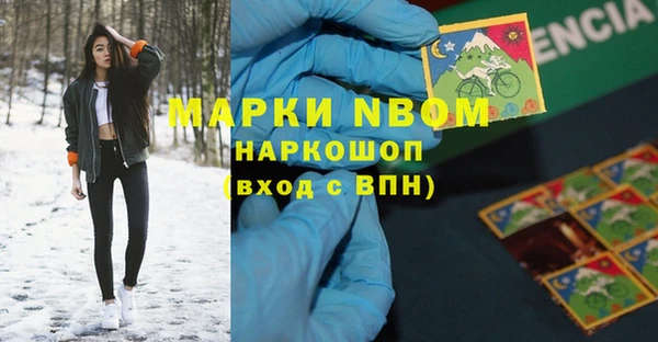 стаф Алзамай