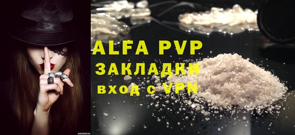 индика Алексин