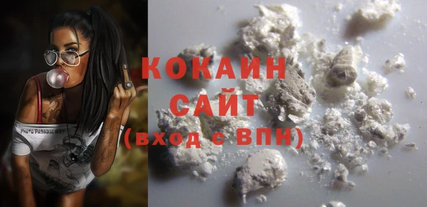 стаф Алзамай