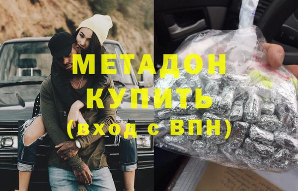 стаф Алзамай