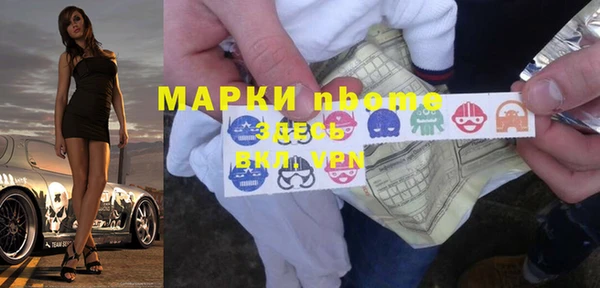 стаф Алзамай
