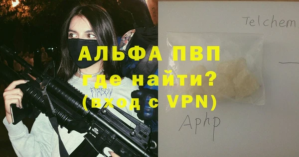 индика Алексин