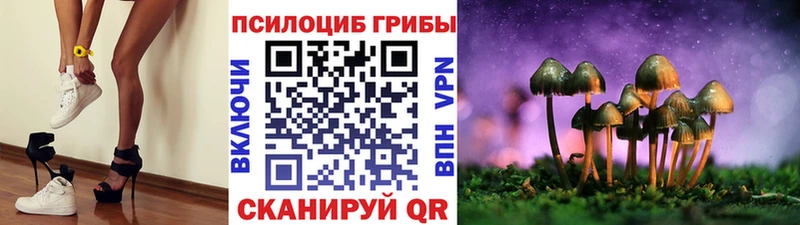 Галлюциногенные грибы Magic Shrooms  купить наркотик  Кондопога 